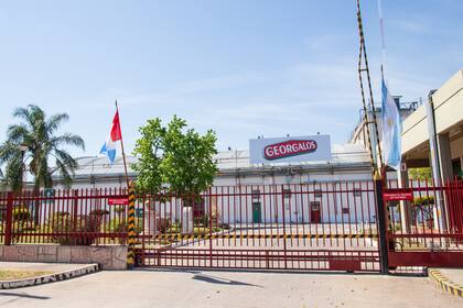 La compra de Mantecol es la segunda adquisición que concreta Georgalos en los últimos doce meses, tras quedarse con Toddy y Zucoa a fines de 2021