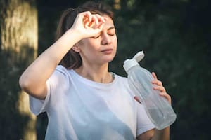 Qué es y cómo sobrevivir al estrés térmico, según un especialista: “Impacta directamente en nuestra salud”