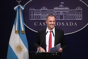 Adorni dijo que no tiene "nada que esconder" y que solo explicará su patrimonio ante la Justicia