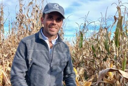 Manuel Bavio, gerente comercial de maíz del semillero
