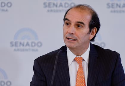 Manuel García Mansilla en el Senado