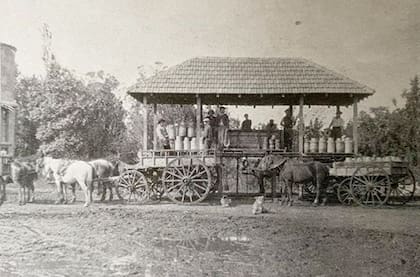 Manuel Guerrero fue el precursor de la lechería en la Cuenca del Salado.