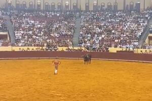 Manuel María Trindade, el joven torero portugués que perdió la vida tras ser embestido por un toro en la Plaza de Toros de Campo Pequeño, Lisboa.