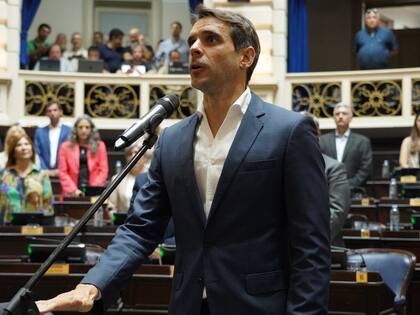 Manuel Passaglia, que había faltado a la sesión de asunción de los nuevos diputados, juró este martes