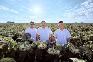 Una empresa familiar desarrolló un impactante modelo de producción