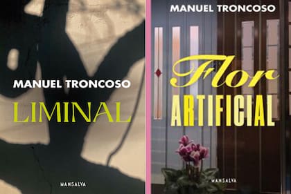 "Liminal" y "Flor artificial", poemarios publicados por Mansalva