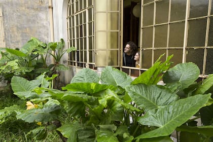 Manusovich se asoma a uno de los patios