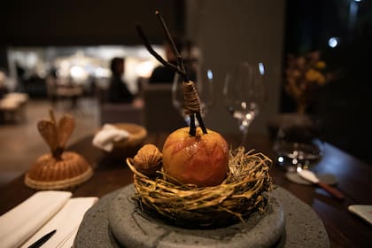 Manzanas silvestres de la Patagonia y manzana rostizada. En el interior de la manzana: crema de pajarito (microorganismo que crece de los lácteos) y avellanas silvestres de la zona sur. En el interior la nuez: tartar de nuez y primera producción de Caviar de Esturión de Chile. Se destapan manzana y nuez, se mezclan ambos contenidos y se comen junto con la tapa de mazana rostizada. Recomiendan no comer la manzana entera porque queda “un largo camino por delante”.