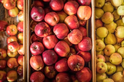 Manzanas y otras frutas cosechas en la chacra de El Refugio del Lago.