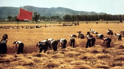 Mao decretó que millones de jóvenes se mudaran de las ciudades hacia el campo para aprender de la dura vida de los campesinos