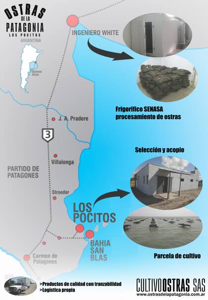 Mapa de producción y logística de Ostras de la Patagonia.