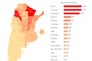 En qué zonas de la Argentina la epidemia golpea más fuerte