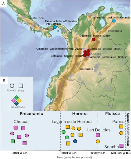 Mapa del Altiplano de Bogotá con los puntos donde se hallaron los restos óseos