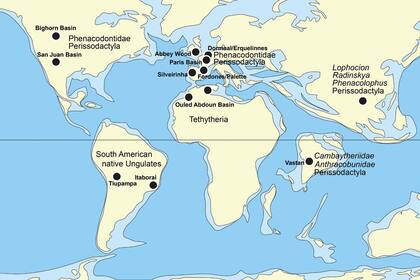 Mapa del Paleoceno tardío-Eoceno temprano que muestra la distribución de cambaytheres y sus posibles parientes. Modificado según Scotese (2006) y Smith et al. (2012).