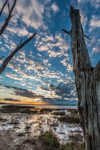 Mar Chiquita o Mar de Ansenuza es un enorme espejo de agua de salinidad y superficie variables.
