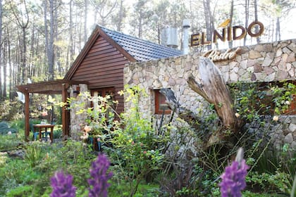 Platos de autor en El Nido