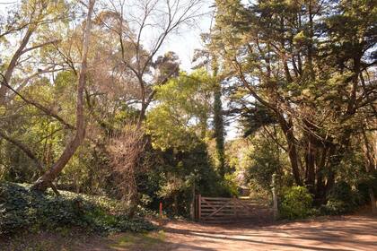 Mar de las Pampas vive un verdadero auge en estos últimos tiempos, un boom de ventas de terrenos aptos para construir