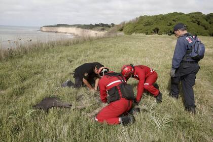 Policías y rescatistas trabajando en la zona donde encontraron la pala y la credencial