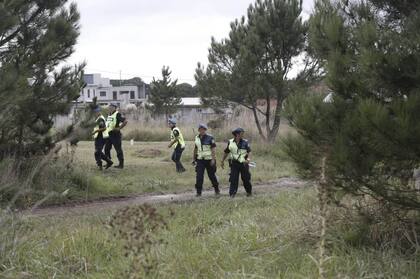 Intenso rastrillaje para encontrar a Claudia Repetto