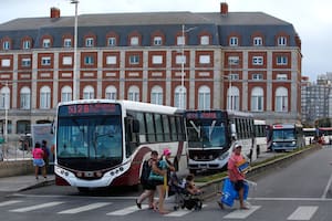 ¿Hay paro colectivos en Tandil, Santa Fe y Mar del Plata?