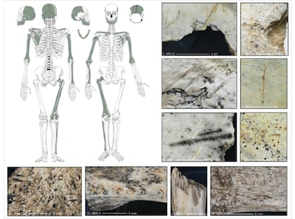 Marcas de canibalismo en restos humanos de hace 18.000 años