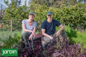 La huerta escondida que produce cultivos poco conocidos e inspira a chefs y bartenders
