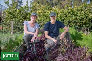 La huerta escondida que produce cultivos poco conocidos e inspira a chefs y bartenders