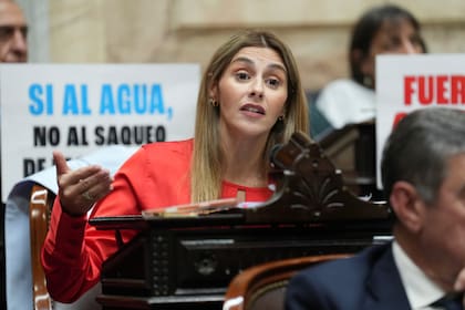 Marcela Pagano fue integrante del espacio libertario, del que tomó distancia y lo hizo llevando adelante un sinfín de acusaciones sobre posible corrupción contra el entorno presidencial