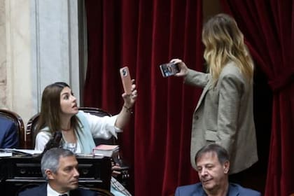 Marcela Pagano y Lilia Lemoine en el recinto del Congreso