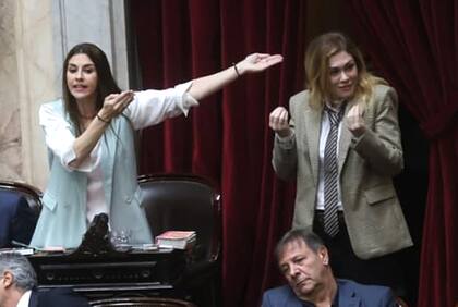 Marcela Pagano y Lilia Lemoine, protagonistas de la interna libertaria durante la sesión informativa de Guillermo Francos