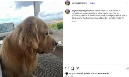 Marcela Tinayre también se despidió del perro