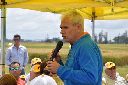 Marcelo Carmona, fitopatólogo de la Facultad de Agronomía de la UBA, disertó sobre el los problemas sanitarios en trigo