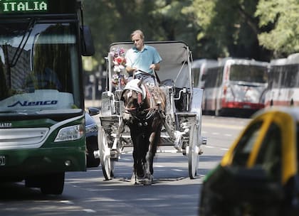 Marcelo Fiterman, de 47 años, maneja mateos desde los 13; él sostiene que hoy los “proteccionistas” los atacan