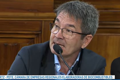 Marcelo Kuszniertz, presidente de Casfer, durante su exposición