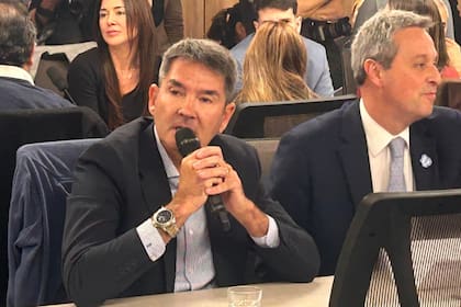 Marcelo Kusznierz, de la Cámara Santafesina de Energías Renovables