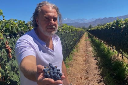 Marcelo Pelleriti recorre las viñas antes de la vendimia en Mendoza