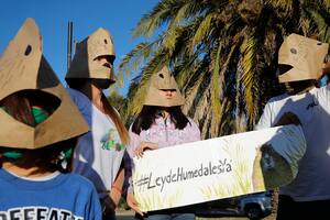Marcha de ecologistas en defensa de los carpinchos y mejoras en Nordelta para la convivencia
