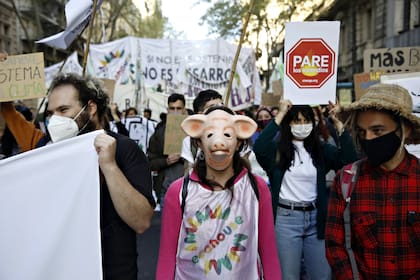 Marcha  en defensa del medio ambiente desde la Plaza de Mayo al Congreso