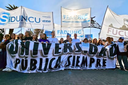 Marcha universitaria en la ciudad de Mendoza