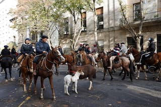 Marchan a caballo para reclamar por el robo y faenado de 117 animales en menos de un año