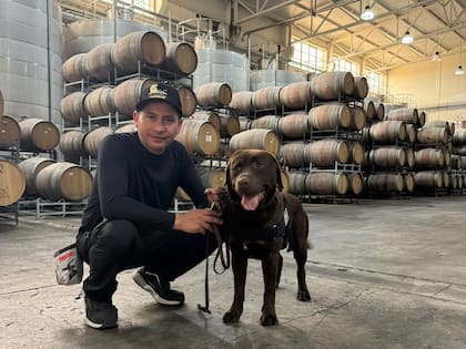 Marco Briceño, entrenador canino