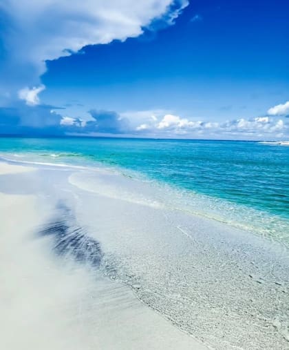 Marco Island destaca por sus bellas playas