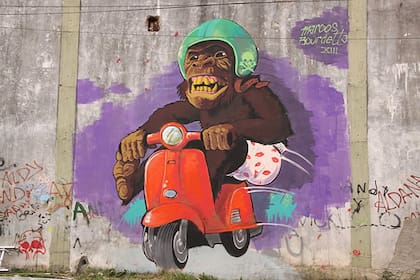 Marcos Bourdetta | José Hernández 2300-2398, Los Troncos del Talar, Buenos Aires