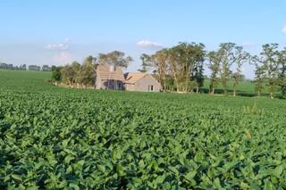 Las enseñanzas del campo, el caso del camino rural que debería servir a todos y el ejemplo del comercio de granos
