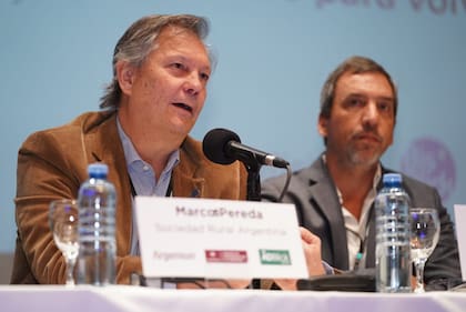 Marcos Pereda, vicepresidente de la Sociedad Rural Argentina durante el argentina Visión 2040
