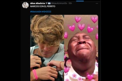 Marcos se llevó todos los halagos por cómo cuida a los perritos (Captura video)