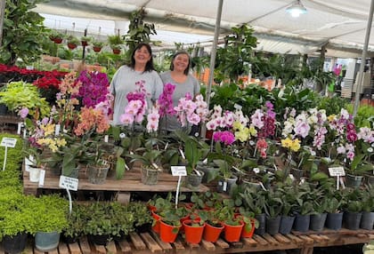 Margarita e Iris Hisaki