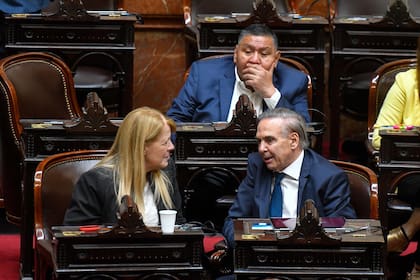 Margarita Stolbizer y Miguel Pichetto plantearon que el error está en buscar llevar adelante las reformas del gobierno a través de un decreto, en lugar de pasar por el Congreso