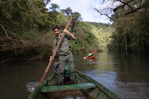 Uno de los tesoros más salvajes y naturales de Misiones