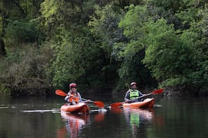 Uno de los tesoros más salvajes y naturales de Misiones